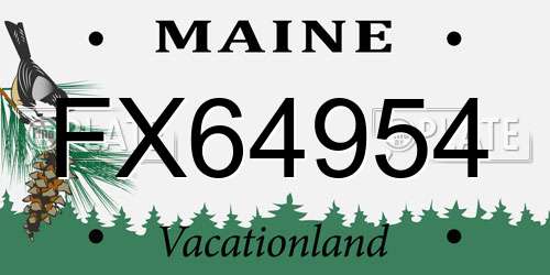 FX64954 Maine License Plate