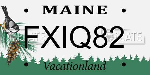 FXIQ82 Maine License Plate