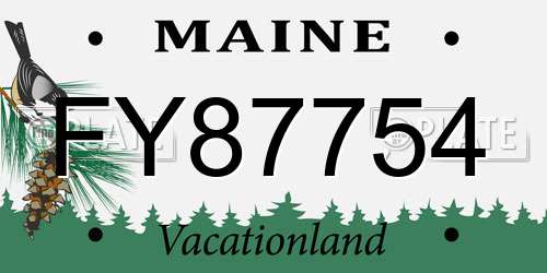 FY87754 Maine License Plate