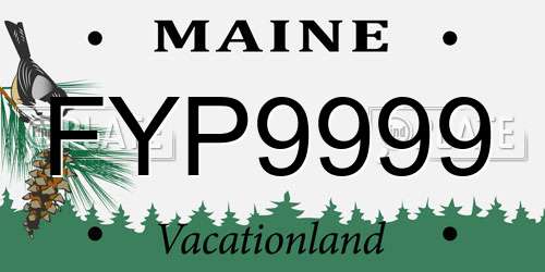 FYP9999 Maine License Plate