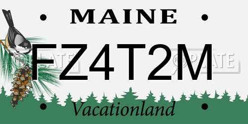 FZ4T2M Maine License Plate