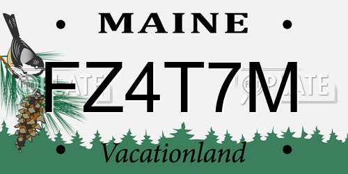 FZ4T7M Maine License Plate