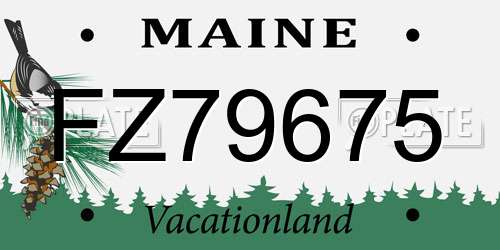 FZ79675 Maine License Plate