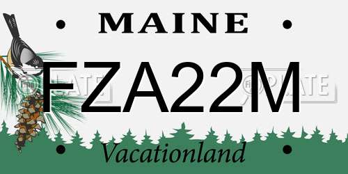 FZA22M Maine License Plate