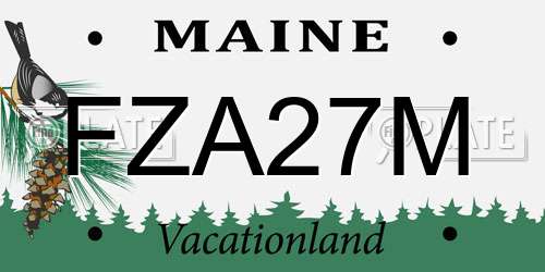FZA27M Maine License Plate