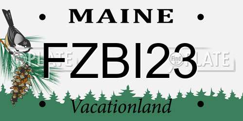 FZBI23 Maine License Plate
