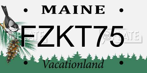 FZKT75 Maine License Plate