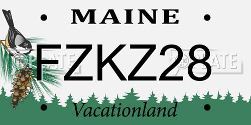 FZKZ28 Maine License Plate