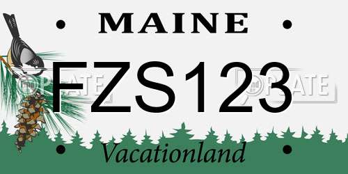 FZS123 Maine License Plate
