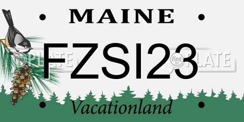 FZSI23 Maine License Plate