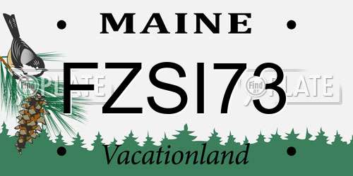 FZSI73 Maine License Plate
