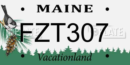 FZT307 Maine License Plate
