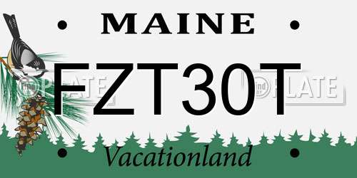 FZT30T Maine License Plate