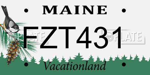 FZT431 Maine License Plate
