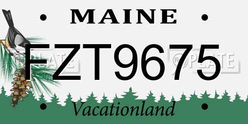FZT9675 Maine License Plate