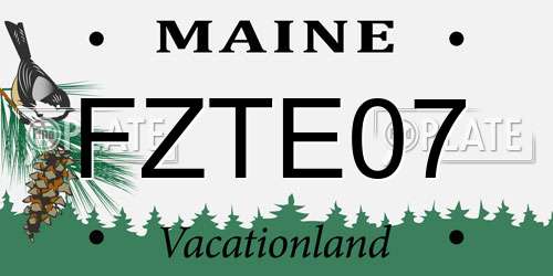 FZTE07 Maine License Plate