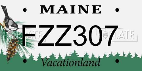 FZZ307 Maine License Plate