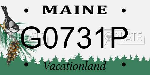G0731P Maine License Plate