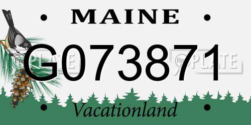 G073871 Maine License Plate