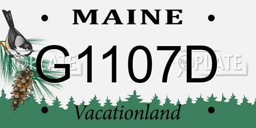 G1107D Maine License Plate