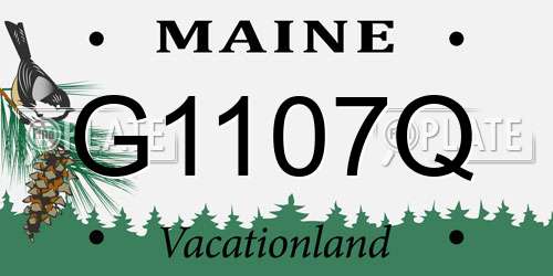 G1107Q Maine License Plate