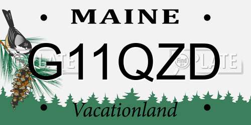 G11QZD Maine License Plate