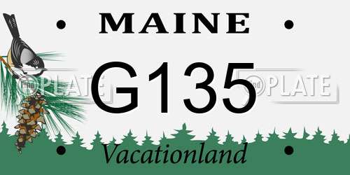 G135 Maine License Plate