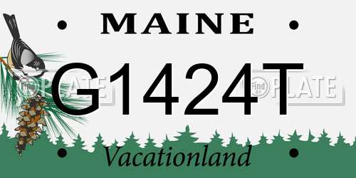 G1424T Maine License Plate