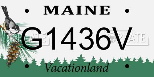 G1436V Maine License Plate