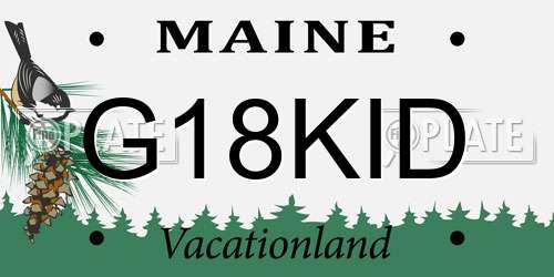 G18KID Maine License Plate