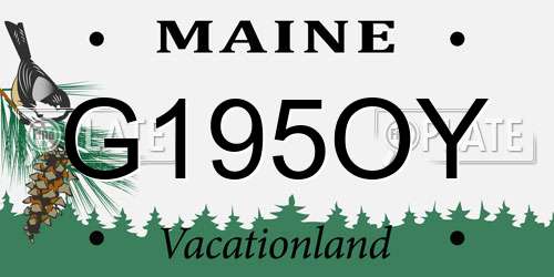 G195OY Maine License Plate