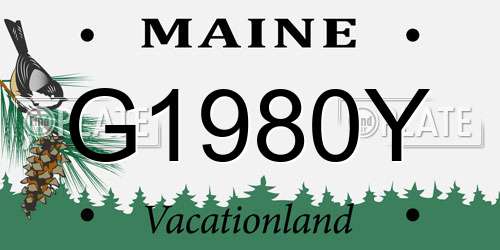 G1980Y Maine License Plate