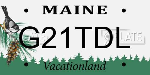 G21TDL Maine License Plate