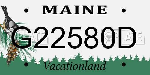 G22580D Maine License Plate