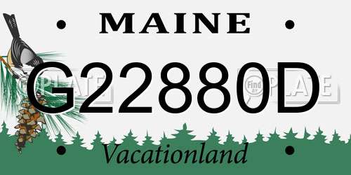 G22880D Maine License Plate