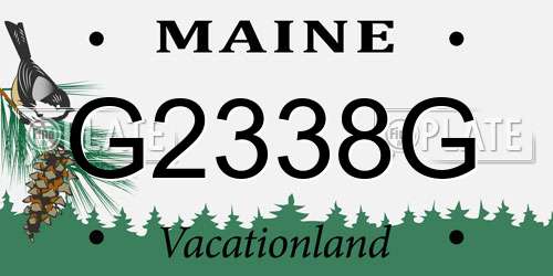 G2338G Maine License Plate