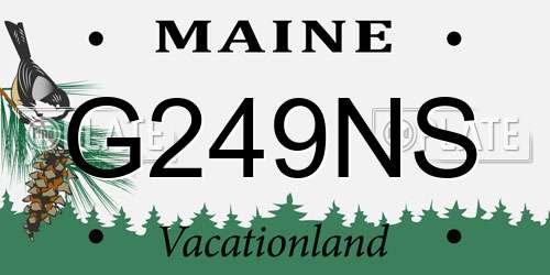 G249NS Maine License Plate