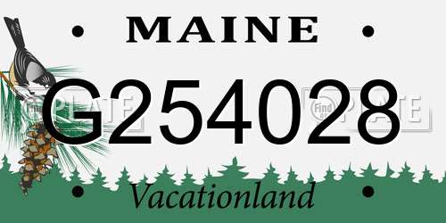G254028 Maine License Plate