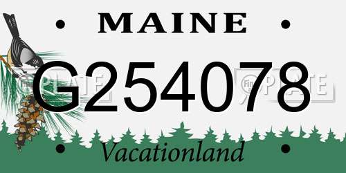 G254078 Maine License Plate