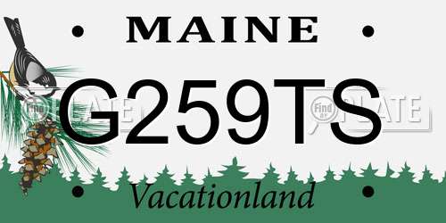 G259TS Maine License Plate