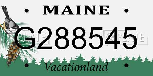 G288545 Maine License Plate