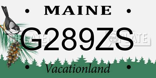 G289ZS Maine License Plate