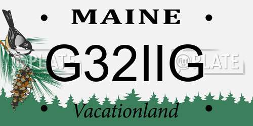 G32IIG Maine License Plate