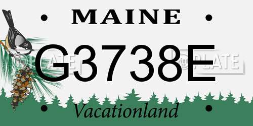 G3738E Maine License Plate