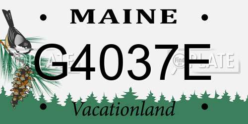 G4037E Maine License Plate