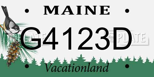 G4123D Maine License Plate