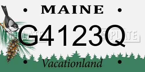G4123Q Maine License Plate