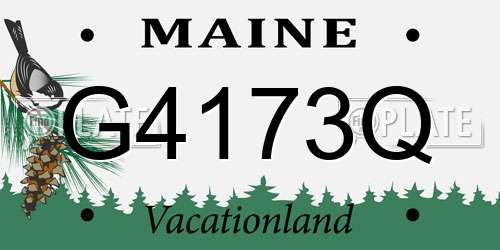 G4173Q Maine License Plate