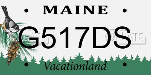 G517DS Maine License Plate