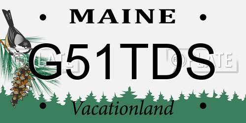 G51TDS Maine License Plate